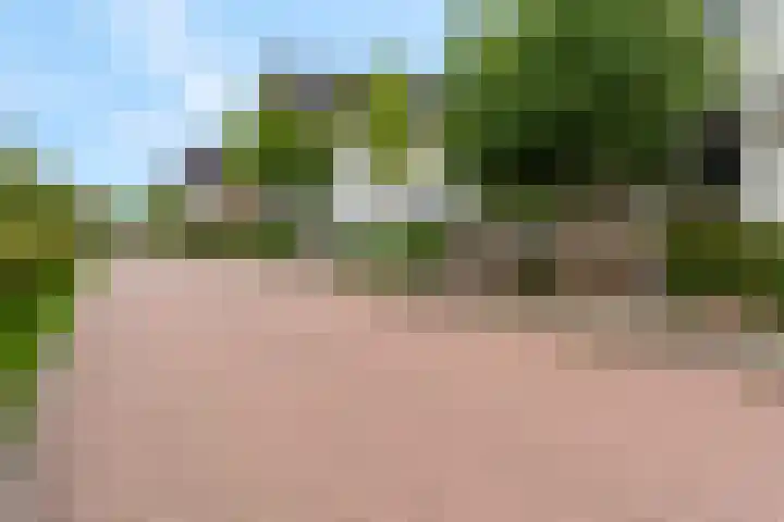 Barbarastraat 42 Lent thumbnail 53