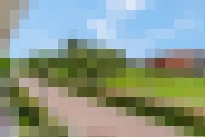 Barbarastraat 42 Lent thumbnail 54