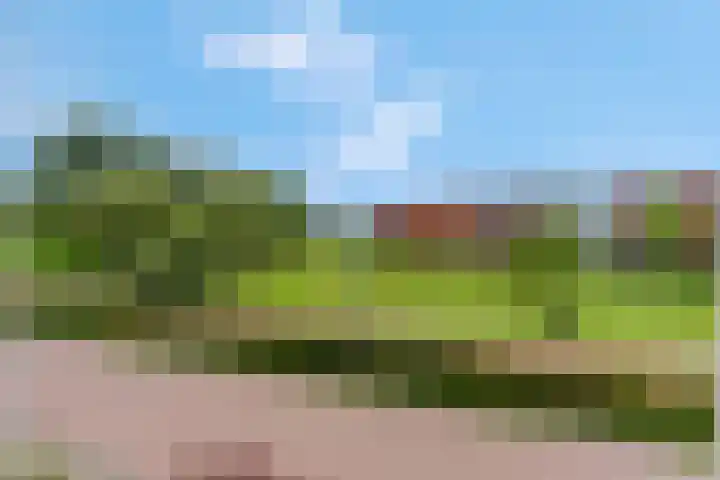 Barbarastraat 42 Lent thumbnail 55