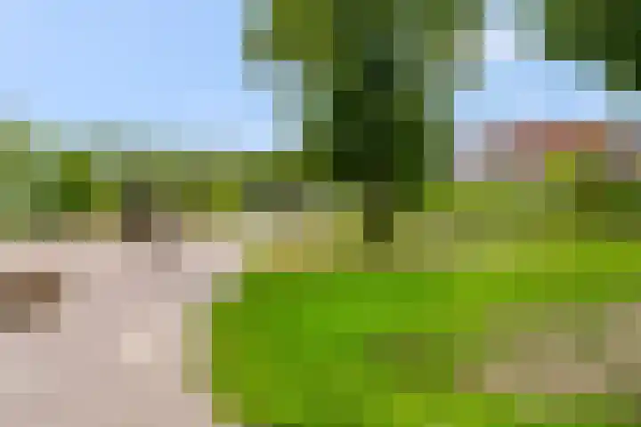 Barbarastraat 42 Lent thumbnail 56