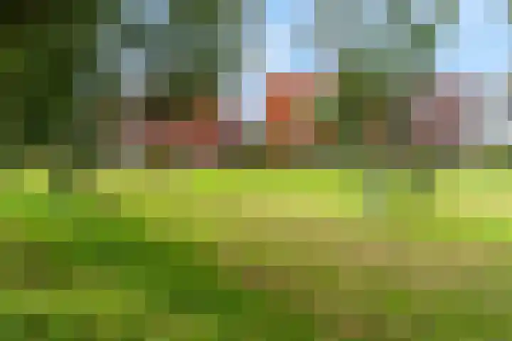 Barbarastraat 42 Lent thumbnail 58