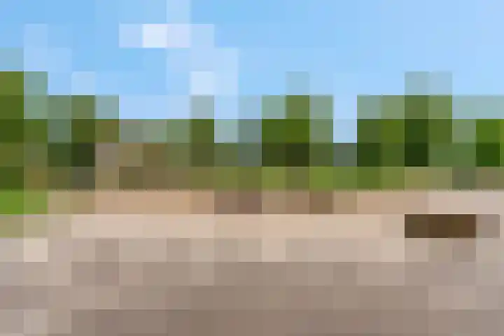 Barbarastraat 42 Lent thumbnail 59