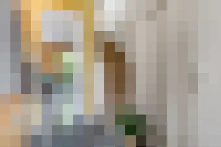 Barbarastraat 42 Lent thumbnail 6