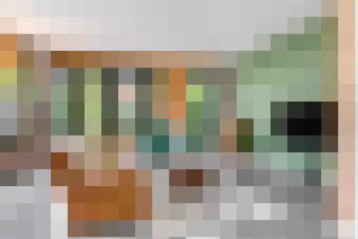 Barbarastraat 42 Lent thumbnail 8