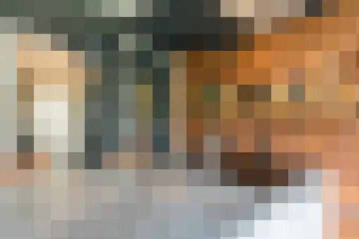 Barbarastraat 44 Geleen thumbnail 18