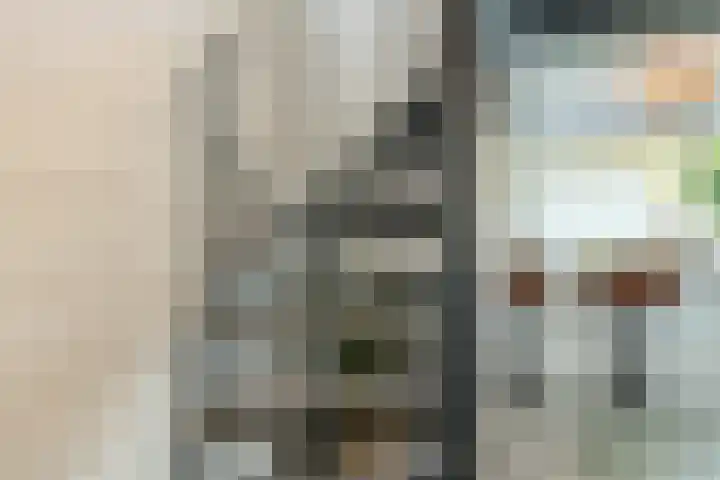 Barbarastraat 44 Geleen thumbnail 22