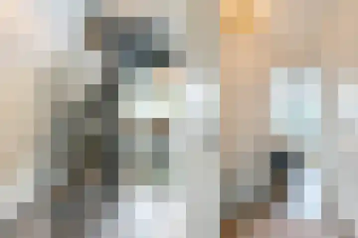 Barbarastraat 44 Geleen thumbnail 24