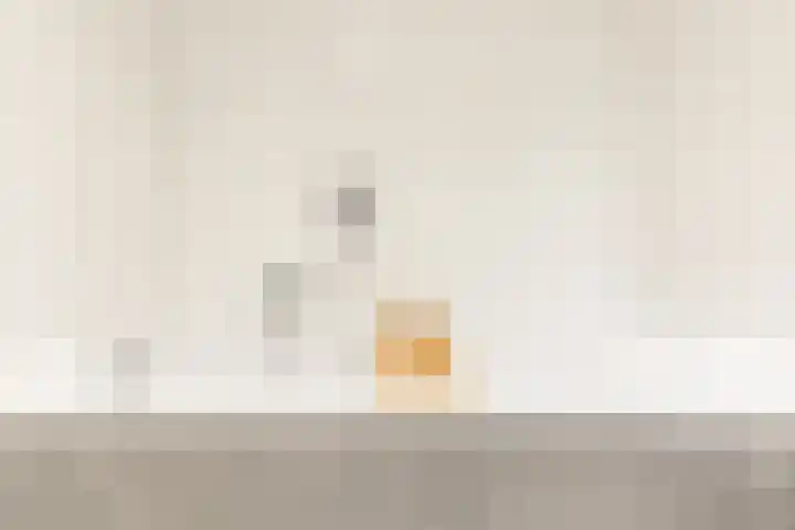 Barbarastraat 44 Geleen thumbnail 35