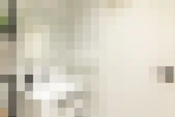 Barbarastraat 44 Geleen thumbnail 36