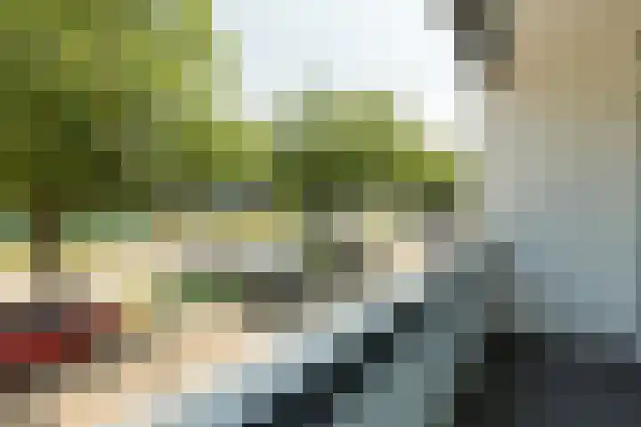 Barbarastraat 44 Geleen thumbnail 41
