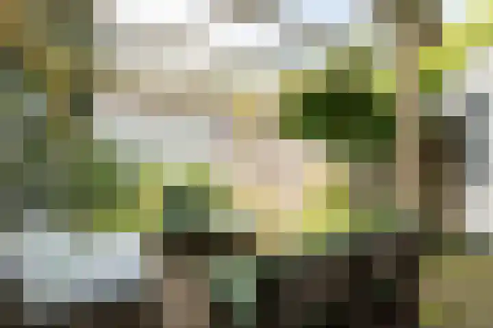 Barbarastraat 44 Geleen thumbnail 43