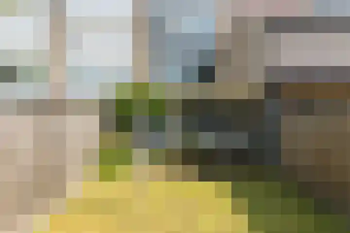 Barbarastraat 44 Geleen thumbnail 46