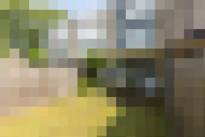 Barbarastraat 44 Geleen thumbnail 47