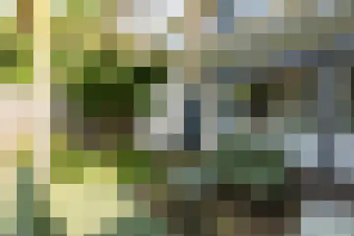 Barbarastraat 44 Geleen thumbnail 48