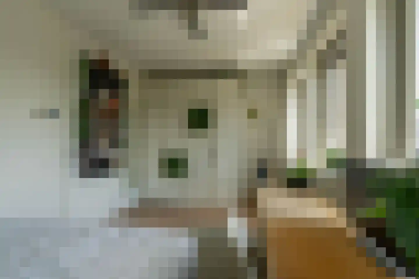 Barbarastraat 44 Lent thumbnail 10