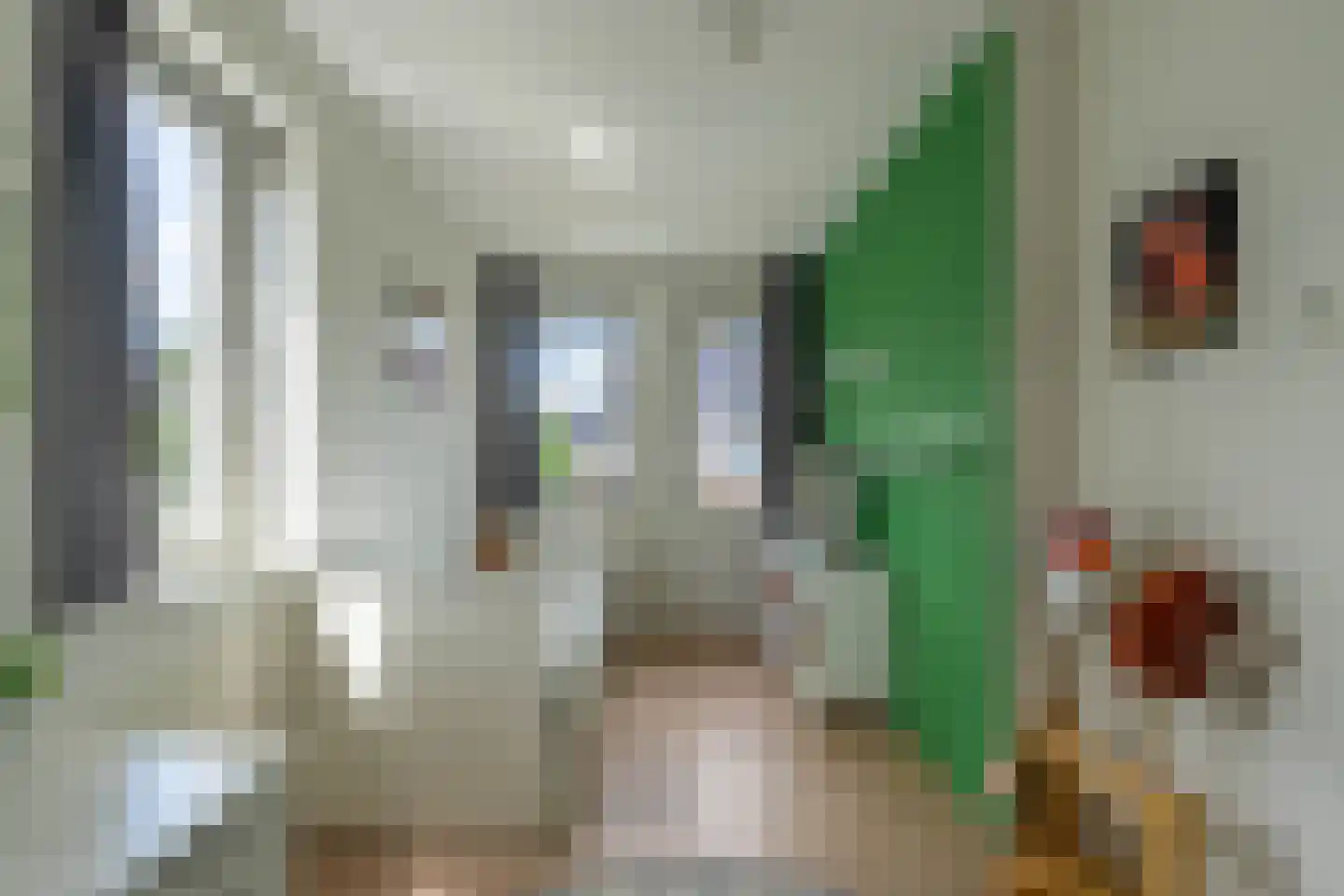 Barbarastraat 44 Lent thumbnail 14