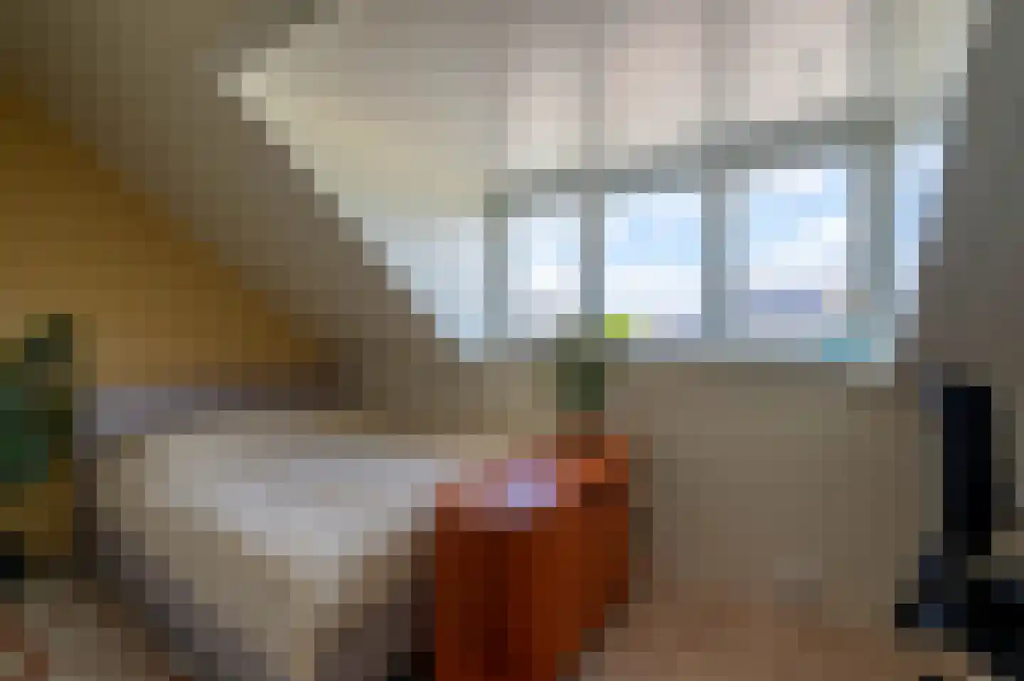 Barbarastraat 44 Lent thumbnail 16