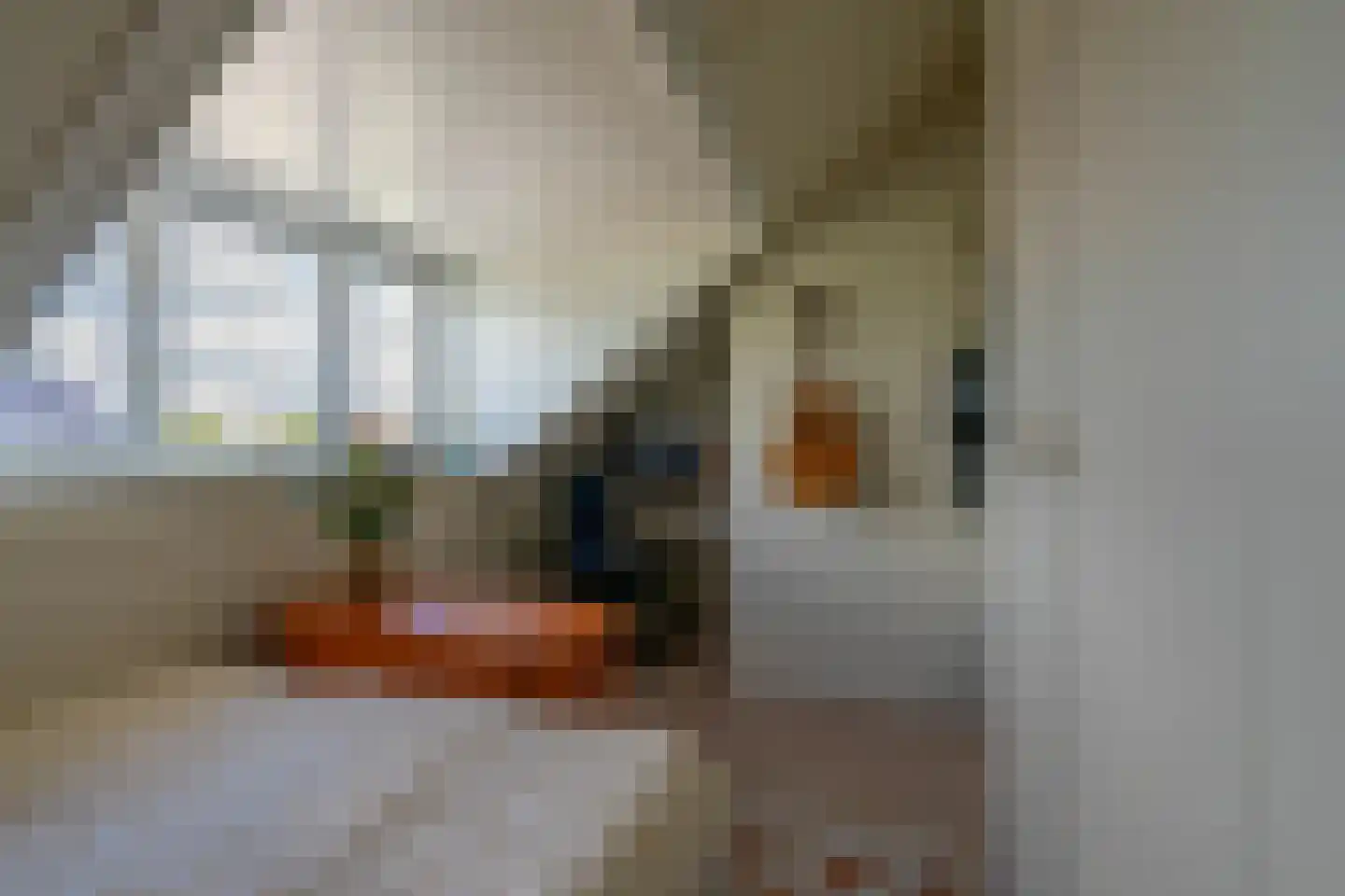 Barbarastraat 44 Lent thumbnail 17