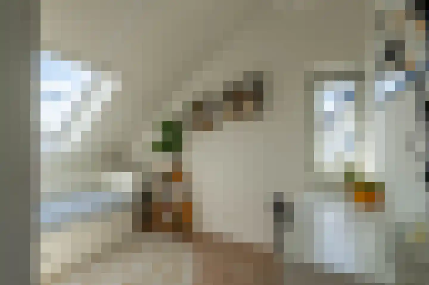 Barbarastraat 44 Lent thumbnail 18