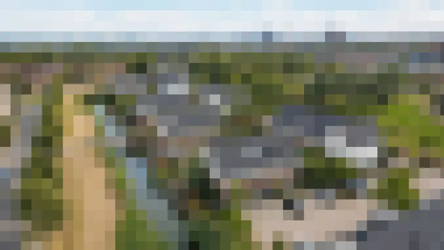 Barbarastraat 44 Lent thumbnail 33