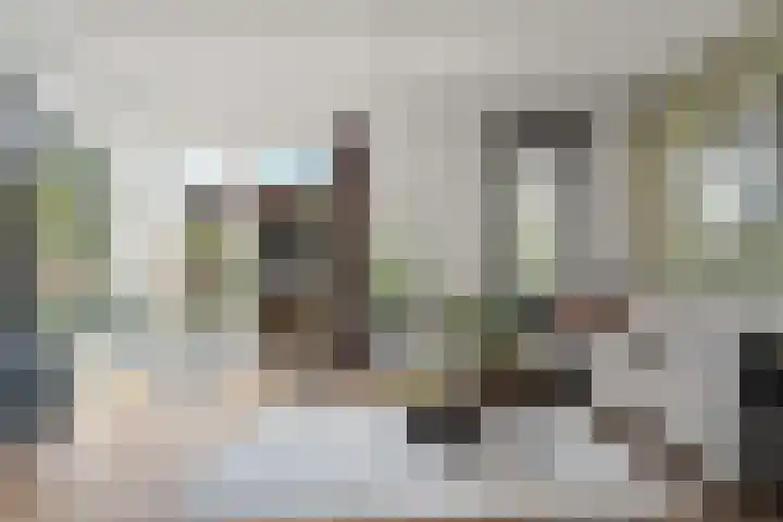 Barbarastraat 48 Lent thumbnail 11