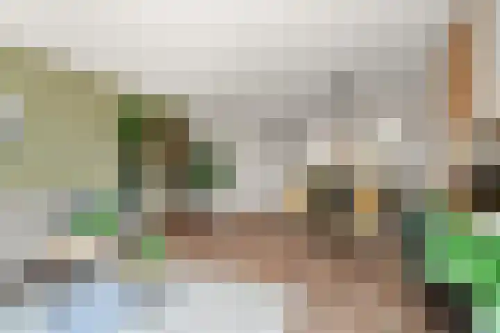 Barbarastraat 48 Lent thumbnail 12