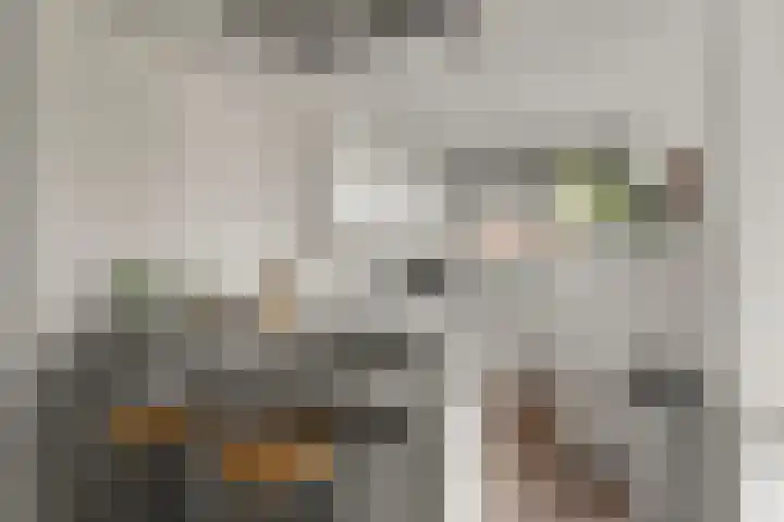 Barbarastraat 48 Lent thumbnail 15