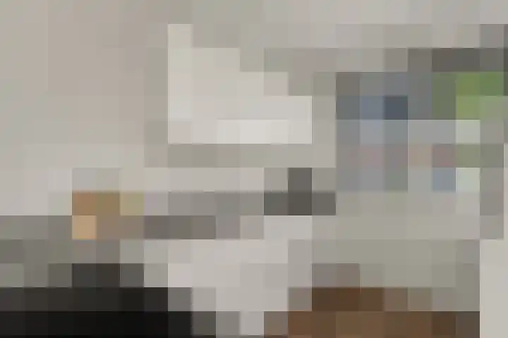 Barbarastraat 48 Lent thumbnail 16