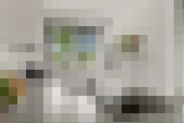Barbarastraat 48 Lent thumbnail 17