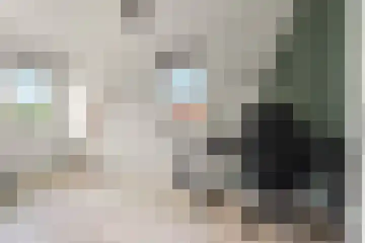 Barbarastraat 48 Lent thumbnail 24