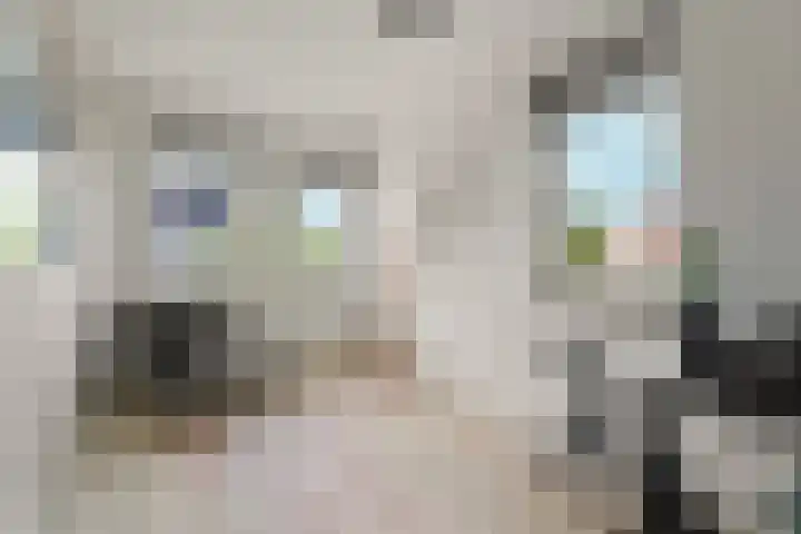 Barbarastraat 48 Lent thumbnail 25