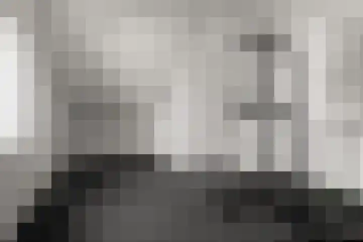 Barbarastraat 48 Lent thumbnail 31