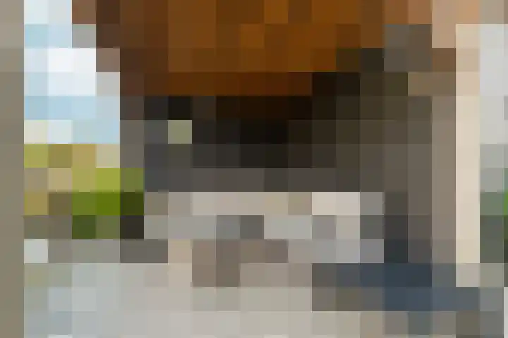 Barbarastraat 48 Lent thumbnail 34