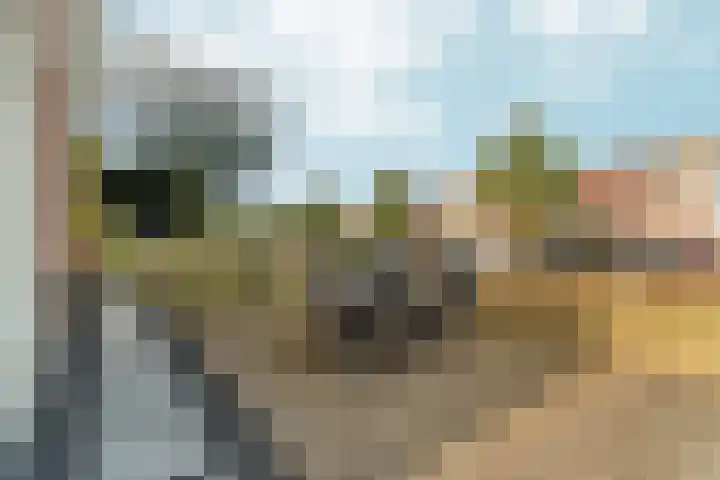 Barbarastraat 48 Lent thumbnail 36