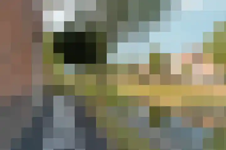 Barbarastraat 48 Lent thumbnail 37