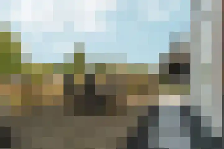 Barbarastraat 48 Lent thumbnail 38