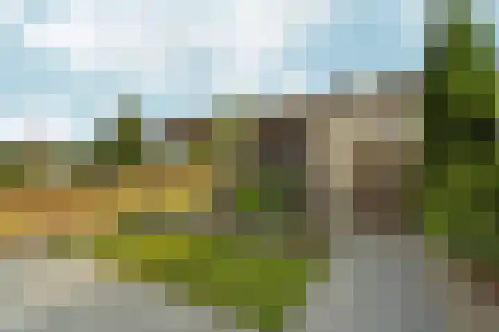 Barbarastraat 48 Lent thumbnail 40