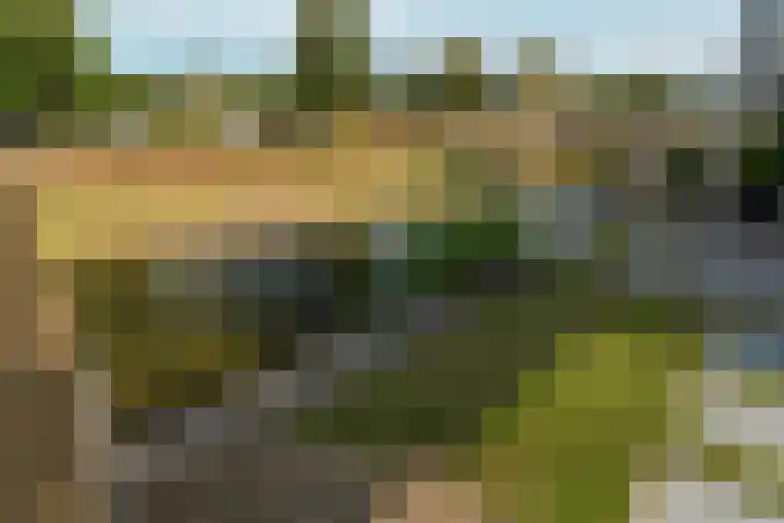 Barbarastraat 48 Lent thumbnail 41