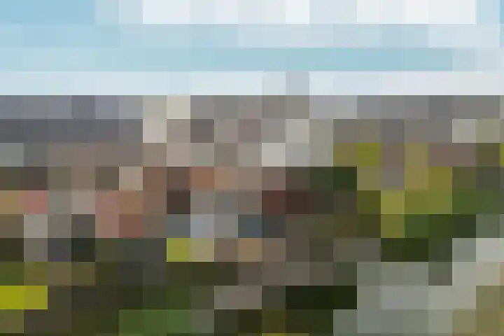 Barbarastraat 48 Lent thumbnail 42