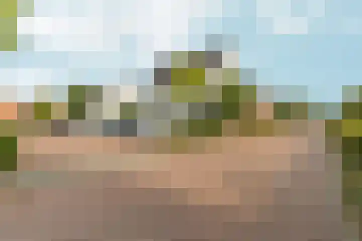 Barbarastraat 48 Lent thumbnail 44