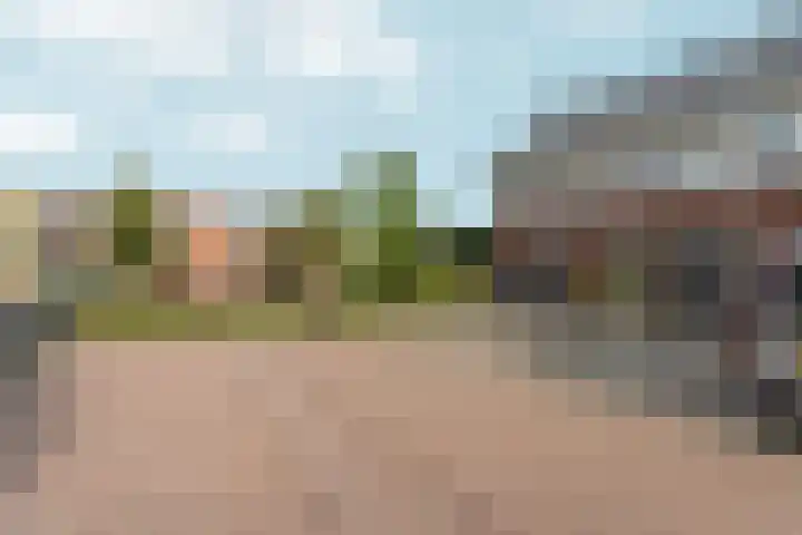 Barbarastraat 48 Lent thumbnail 45