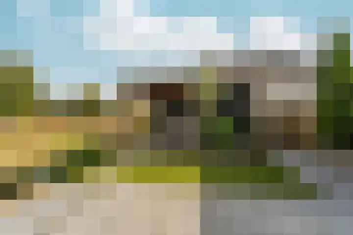 Barbarastraat 48 Lent thumbnail 6
