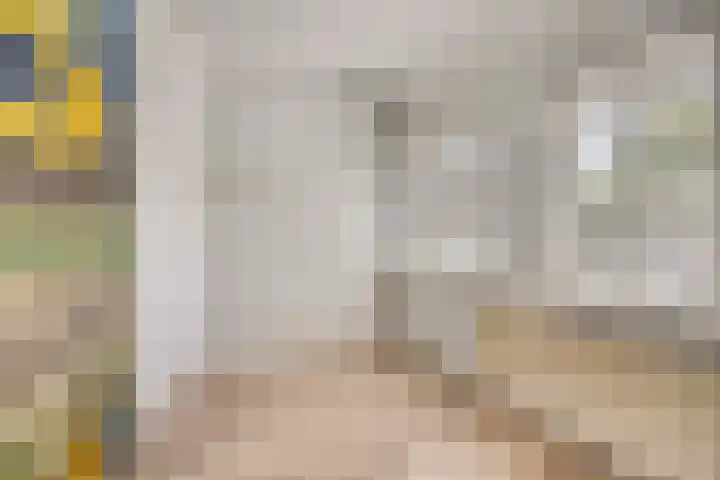 Barbarastraat 5 Susteren thumbnail 16