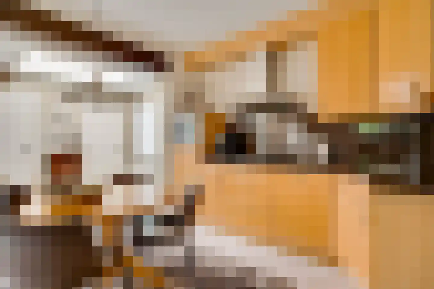 Barbarastraat 6 Thorn thumbnail 17