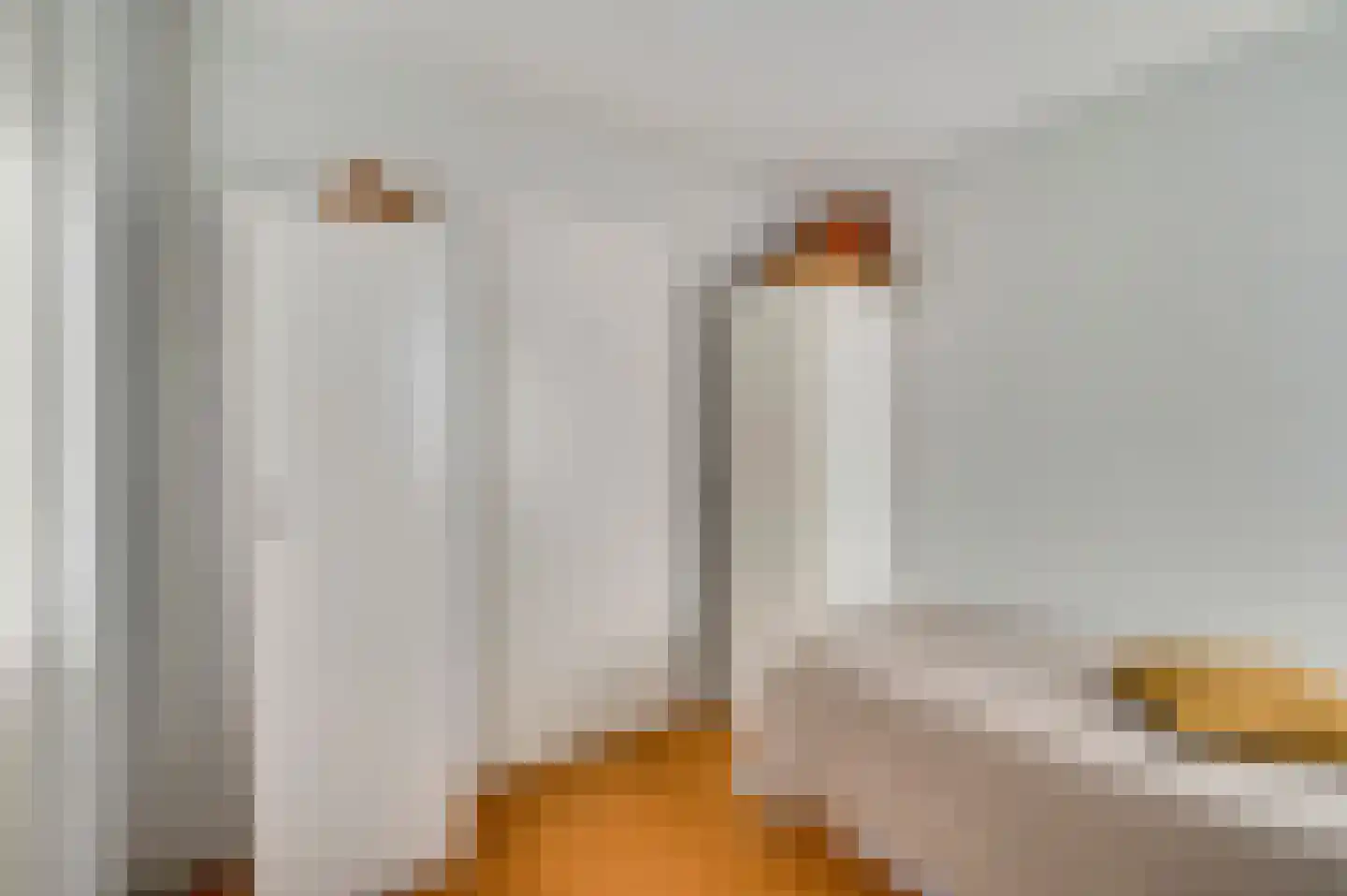 Barbarastraat 6 Thorn thumbnail 29