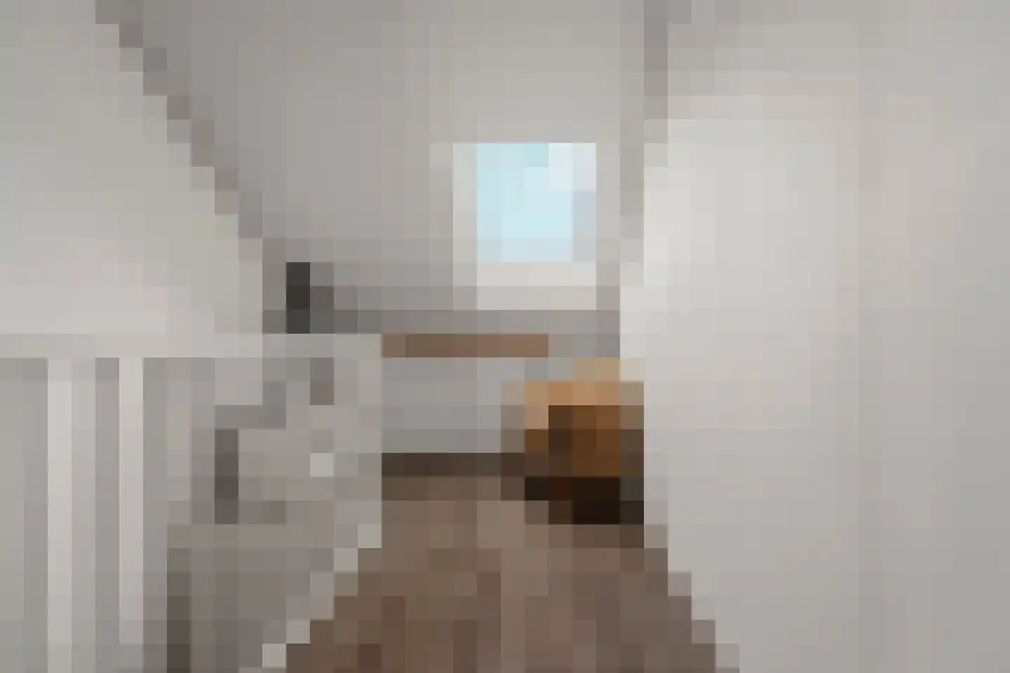 Barbarastraat 66 Lent thumbnail 17