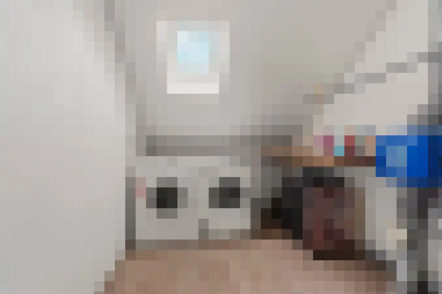 Barbarastraat 66 Lent thumbnail 18