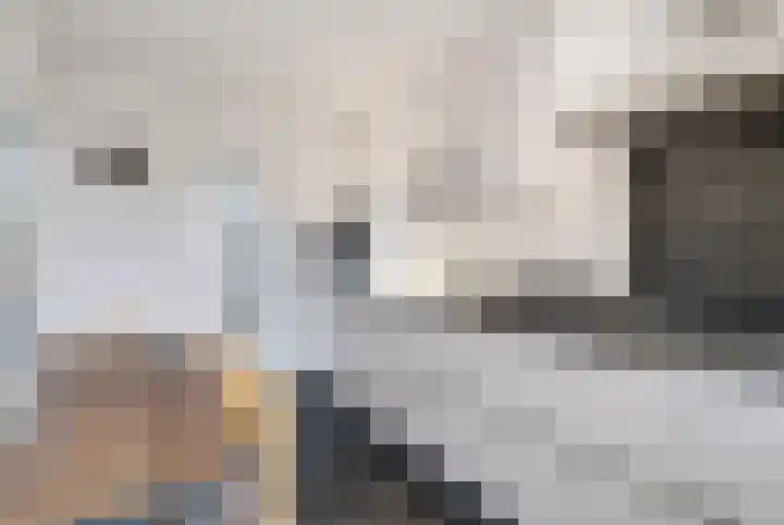 Barbarastraat 8 Schinnen thumbnail 12
