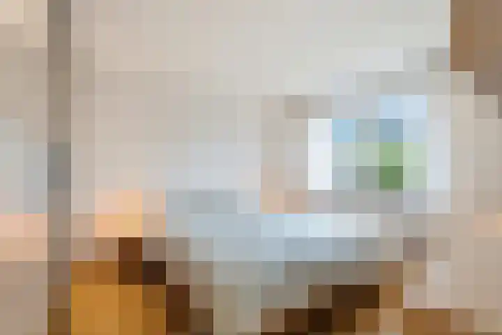 Barbarastraat 8 Schinnen thumbnail 14