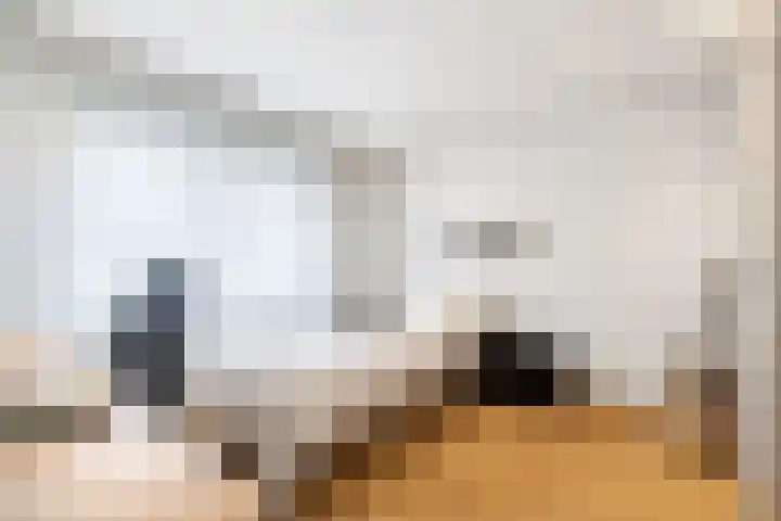 Barbarastraat 8 Schinnen thumbnail 15